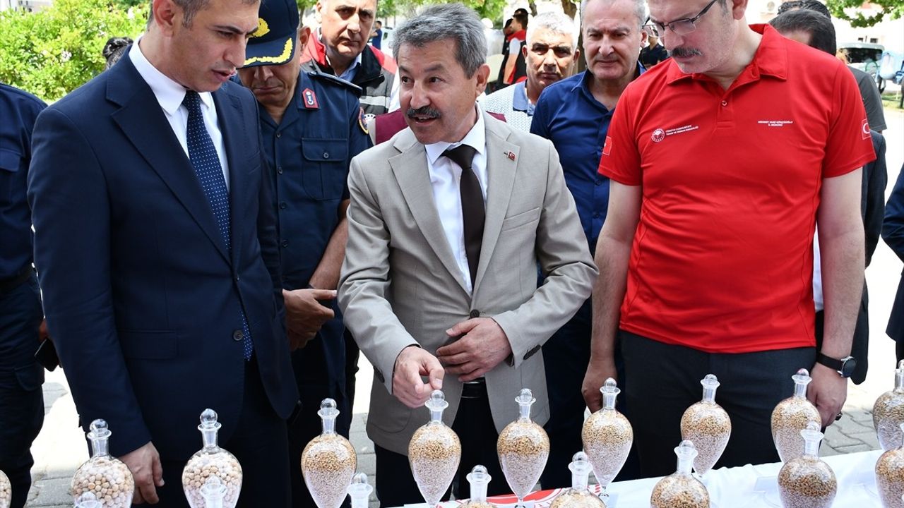 Adana'da Tarla Günü Etkinliğiyle Yerli ve Milli Tohumlar Tanıtıldı