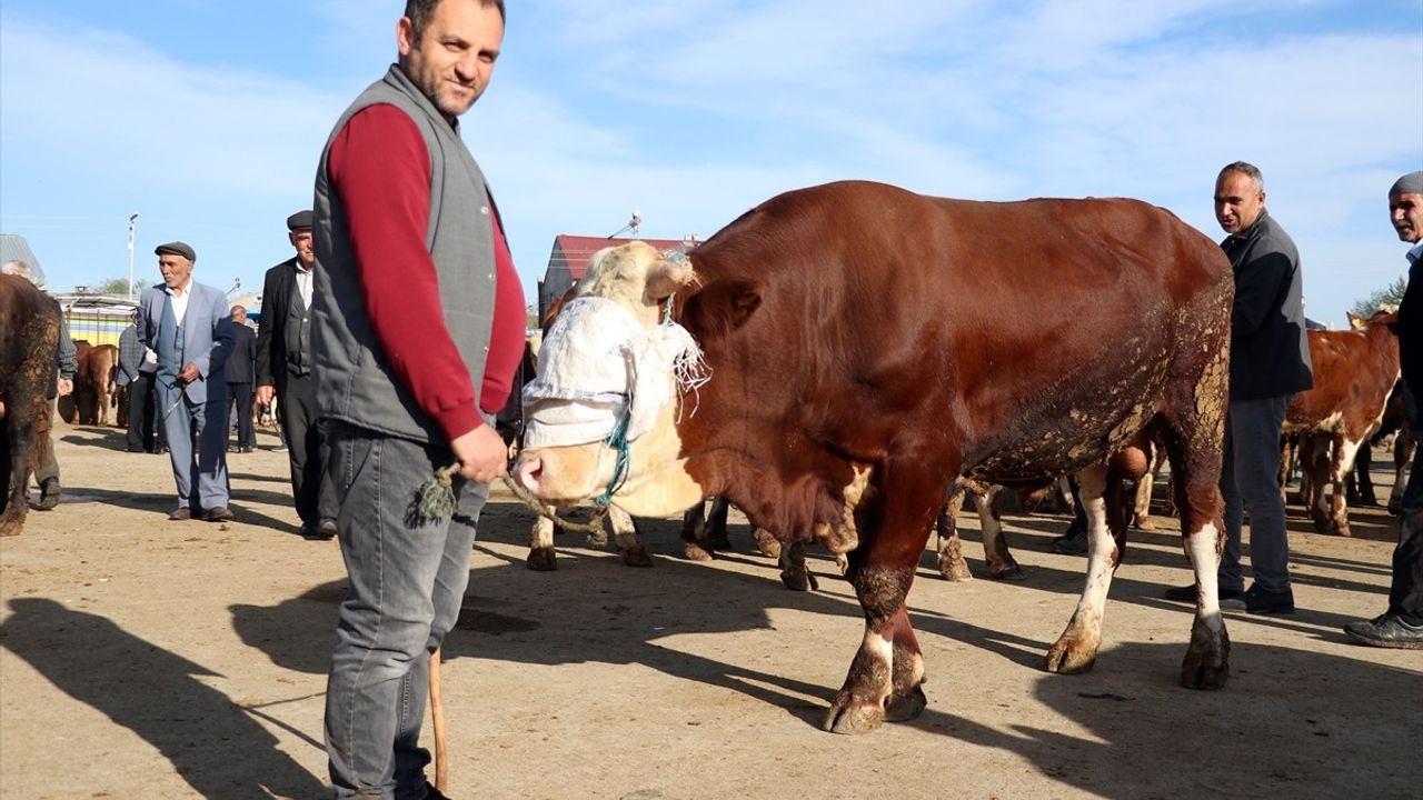 Ağrı Hayvan Borsası'nda Kurbanlık Hareketliliği Artıyor