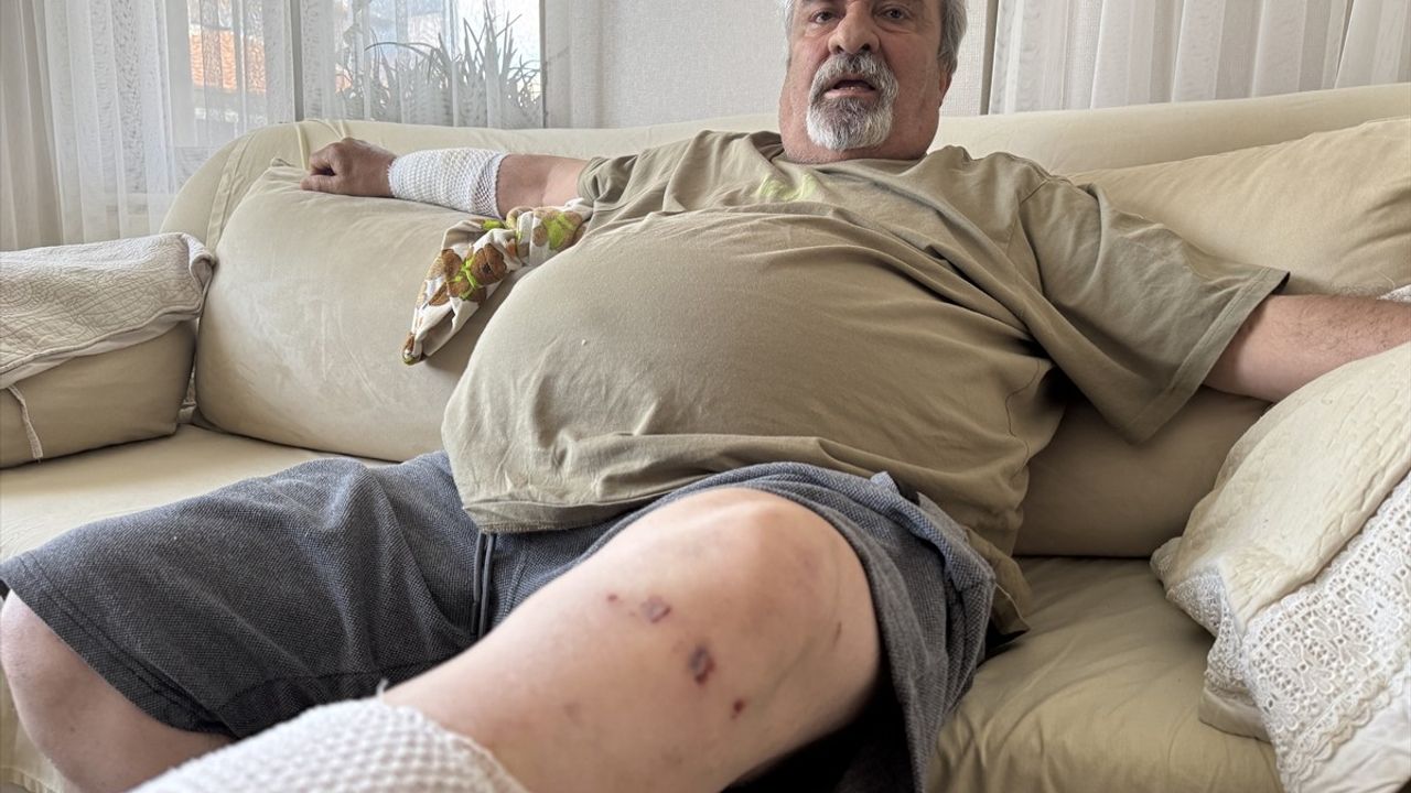 Aksaray'da Köpek Saldırısı Sonrası Yaralanan Vatandaş, Sahipsiz Hayvanların Toplanmasını Talep Ediyor