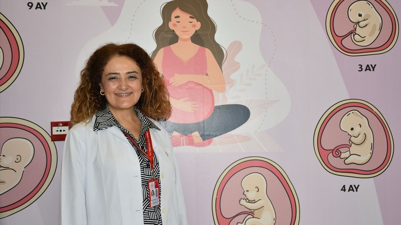 Anne Sütü ve Emzirmenin Önemi