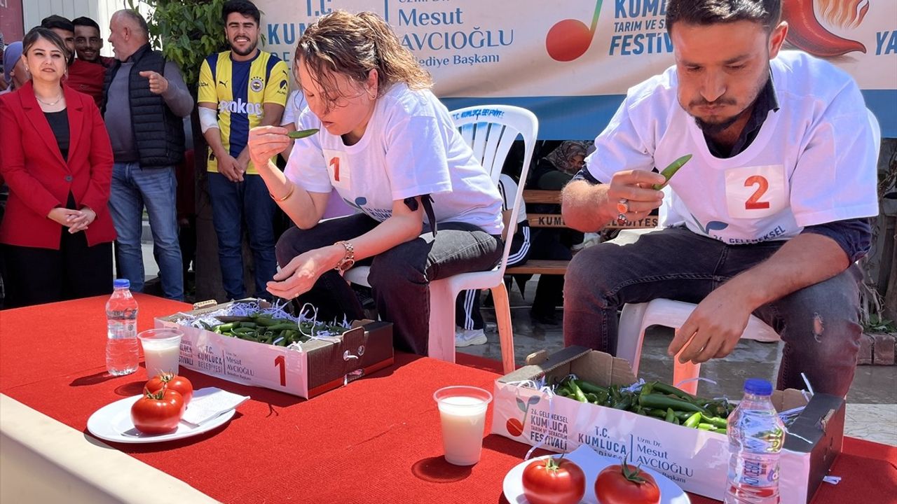 Antalya'da Acı Biber Yarışması: 398 Gramla Şampiyonluk