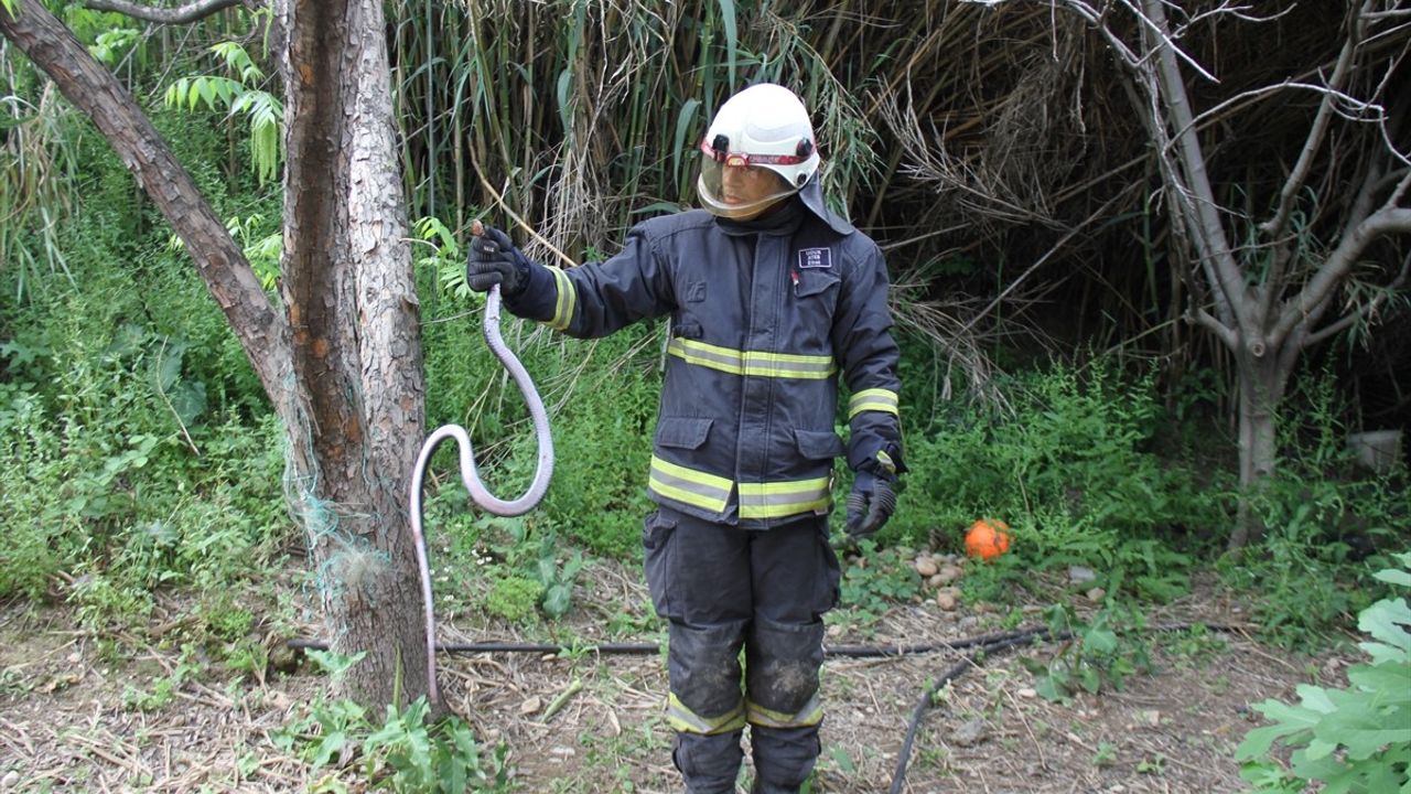 Antalya'da Yıla Kurtarma Operasyonu