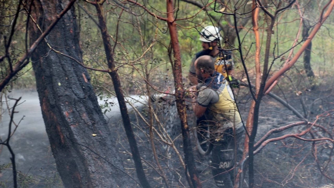 Bayırbucak'taki Orman Yangını Devam Ediyor