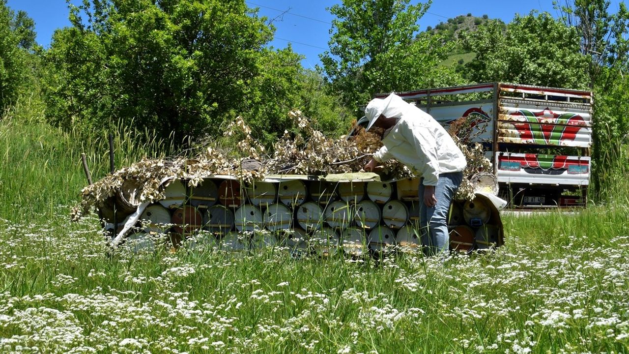 Bitlis Balı, Paris'te İki Yıl Üst Üste Altın Bal Ödülünü Kazandı