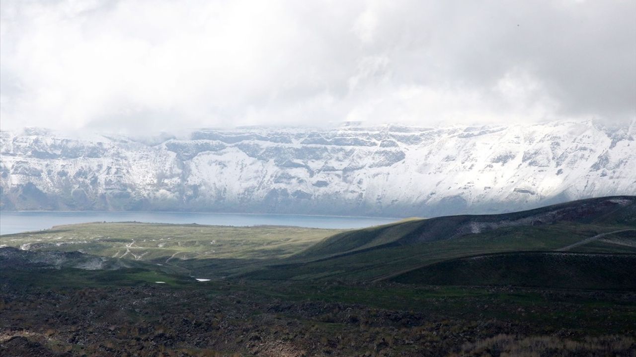 Bitlis'te Sahipsiz Hayvanlar İçin Denetim Toplantısı