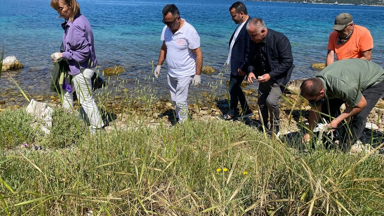 Bodrum'da Deniz ve Kıyı Temizliği Gerçekleşti