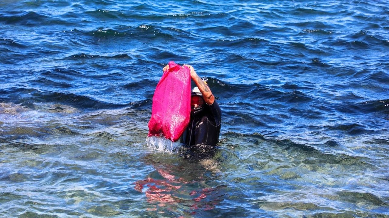 Bodrum'da Denizde Temizlik Etkinliği gerçekleştirildi