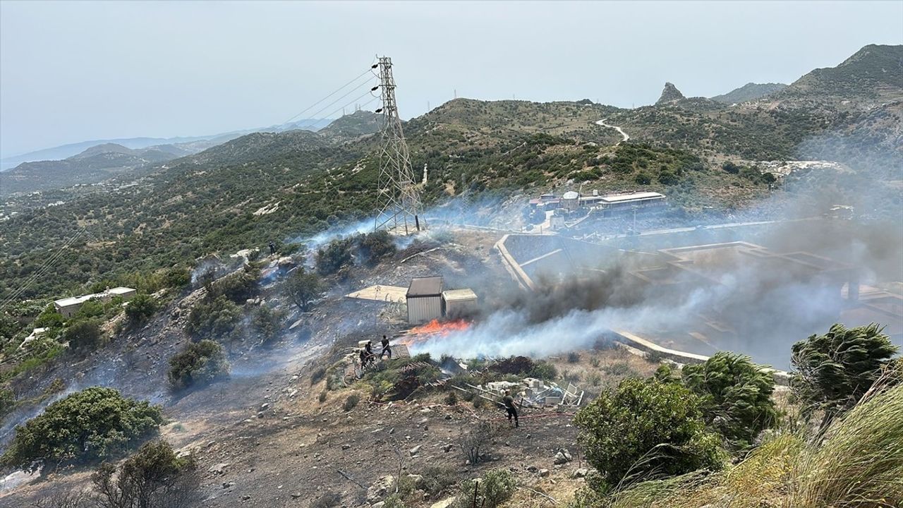 Bodrum'daki Yerleşim Yakınlarında Yangın Çıktı