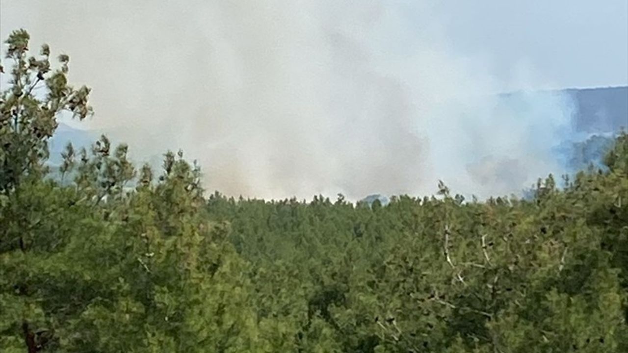 Çanakkale'de Orman Yangını Kontrol Altına Alındı