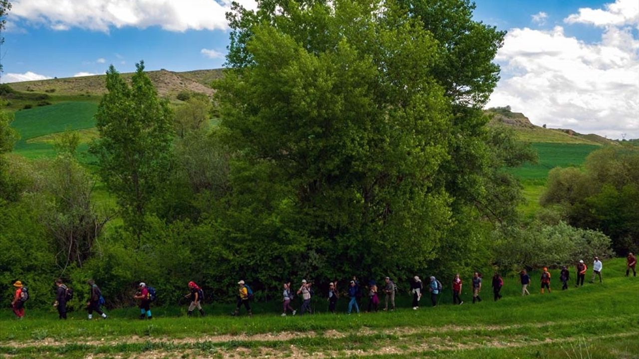 Çorum'da Hitit Yolu Yürüyüşü: Doğanın ve Tarihin Buluşması