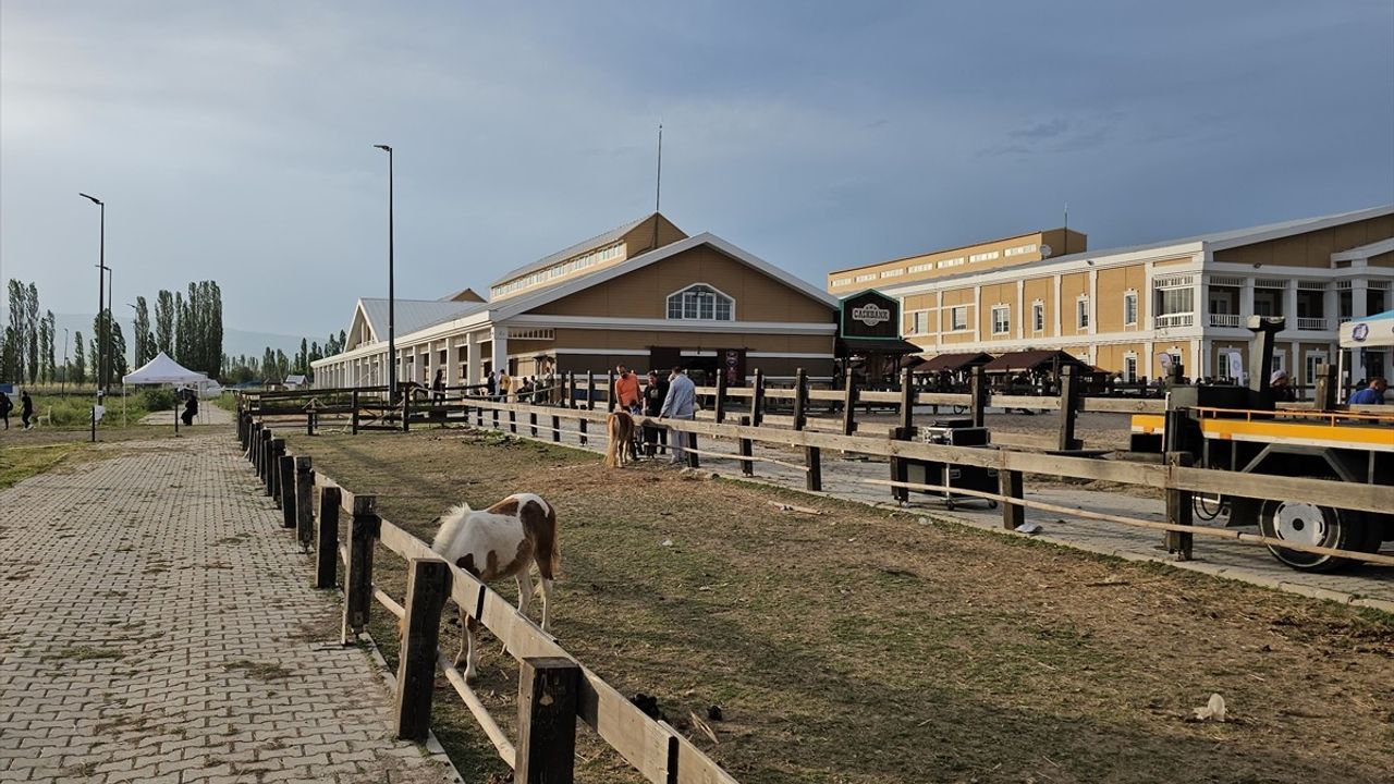 Çorum'da Uluslararası Atlı Dayanıklılık Yarışması Yapıldı