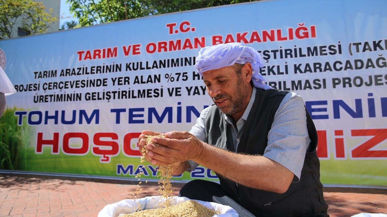Diyarbakır'da Çiftçilere Tohum Desteği