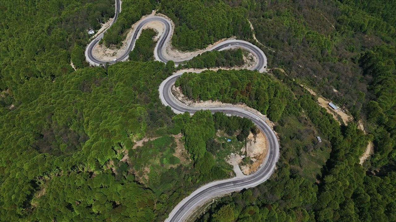 Domaniç Dağları'nda İlkbahar Manzarası