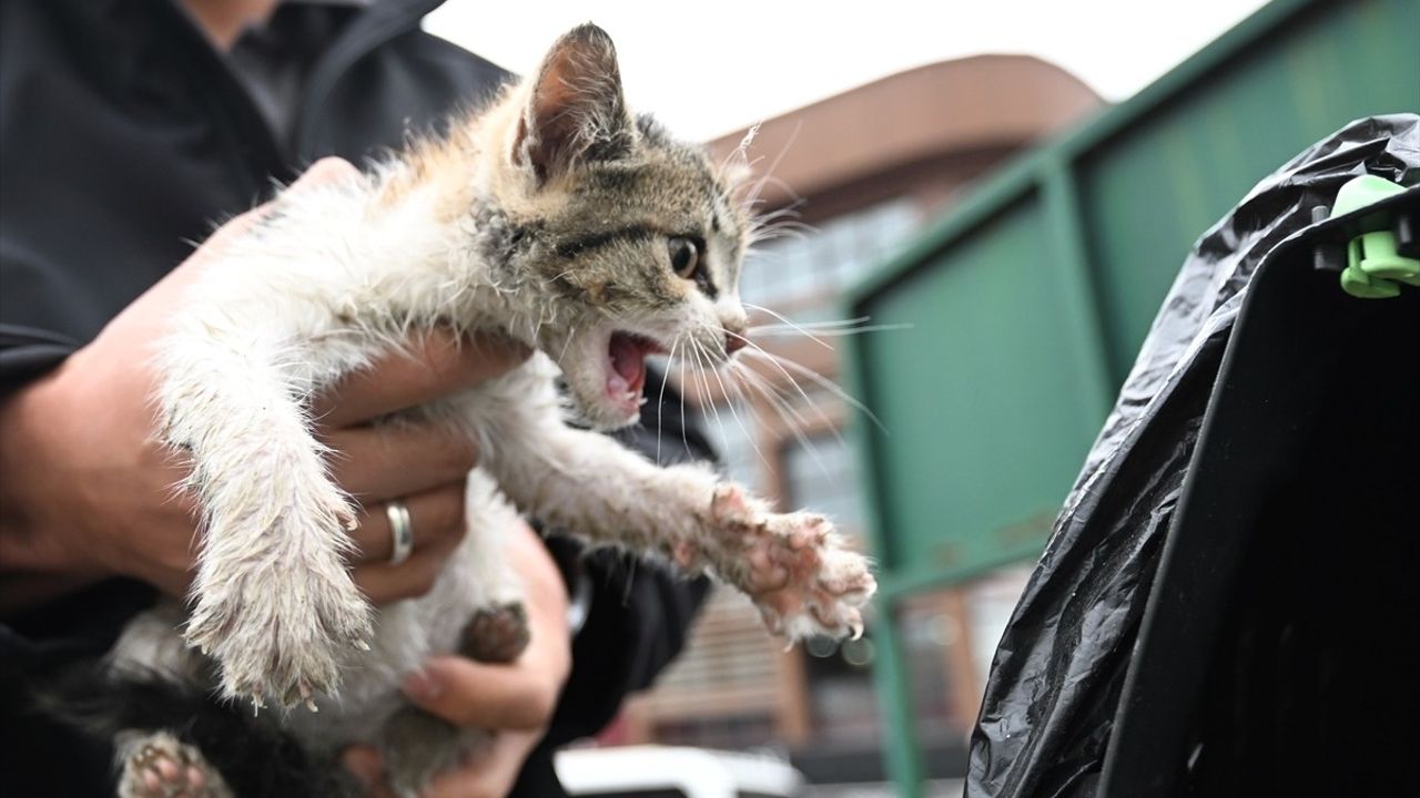 Düzce'de İtfaiye Ekipleri Tarafından Kurtarılan Kedi Yavrusunu Taksici Sahiplendi