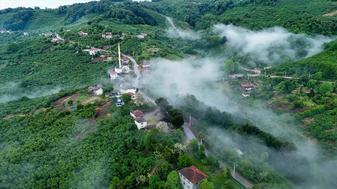 Düzce'de Sis Denizinin Estetik Görüntüsü