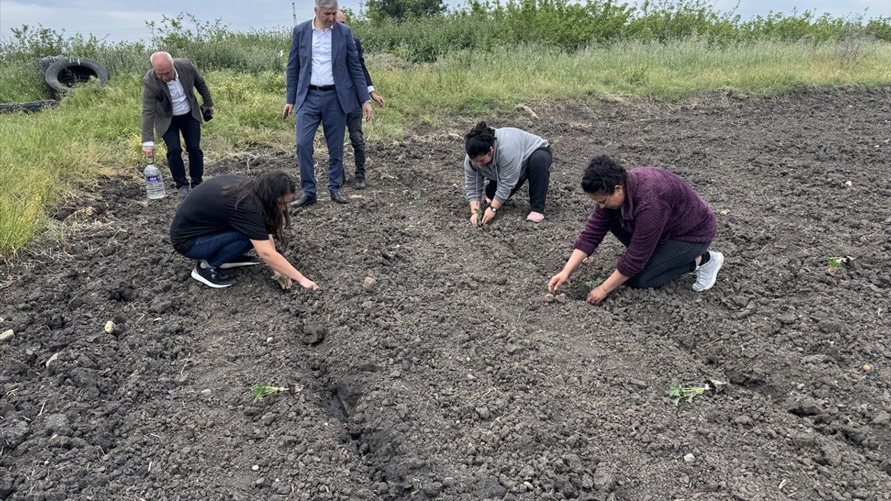 Edirne'de Çiftçilere Karpuz Fidesi Dağıtımı Yapıldı
