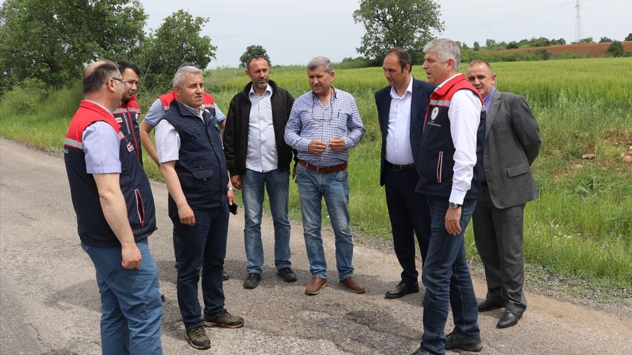 Edirne'de Dolu Zararının Tespiti İçin Hasar Çalışmaları Başlatıldı