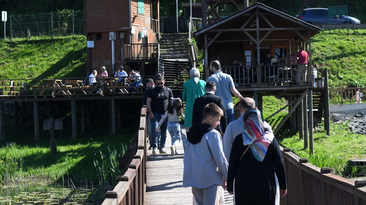 Efteni Gölü ve Sinekli Yaylası: Doğa Tutkunlarının Buluşma Noktası