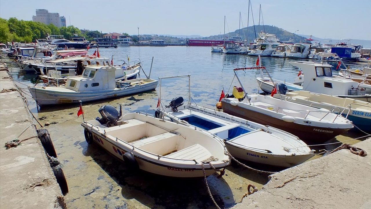 Erdek Körfezi'nde Müsilaj Alarmı