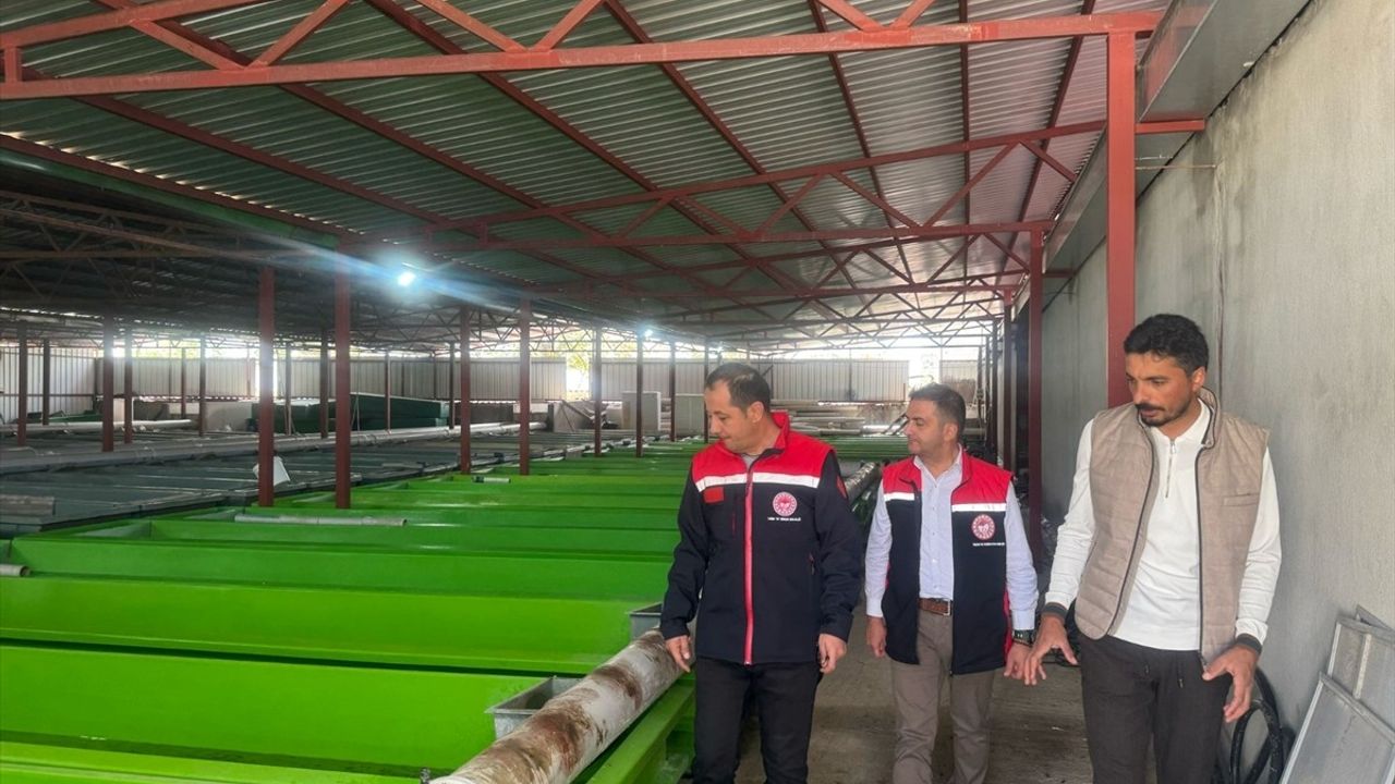Erzincan'da Su Ürünleri Üretim Kapasitesi Artıyor
