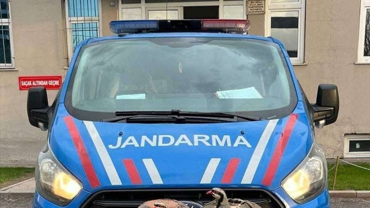 Erzurum'da Kaçak Avcıya Ağır Ceza