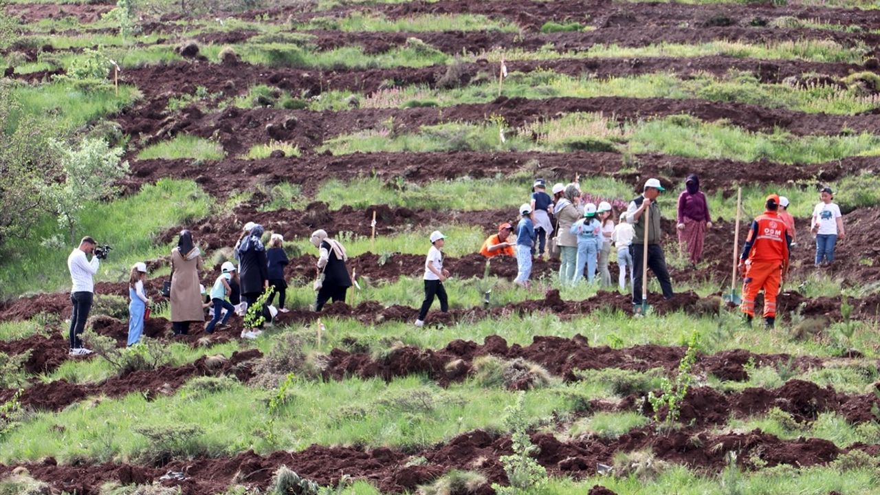 Erzurum'da TBMM'nin 105. Yılı Anısına 105 Bin Fidan Dikimi Gerçekleşti