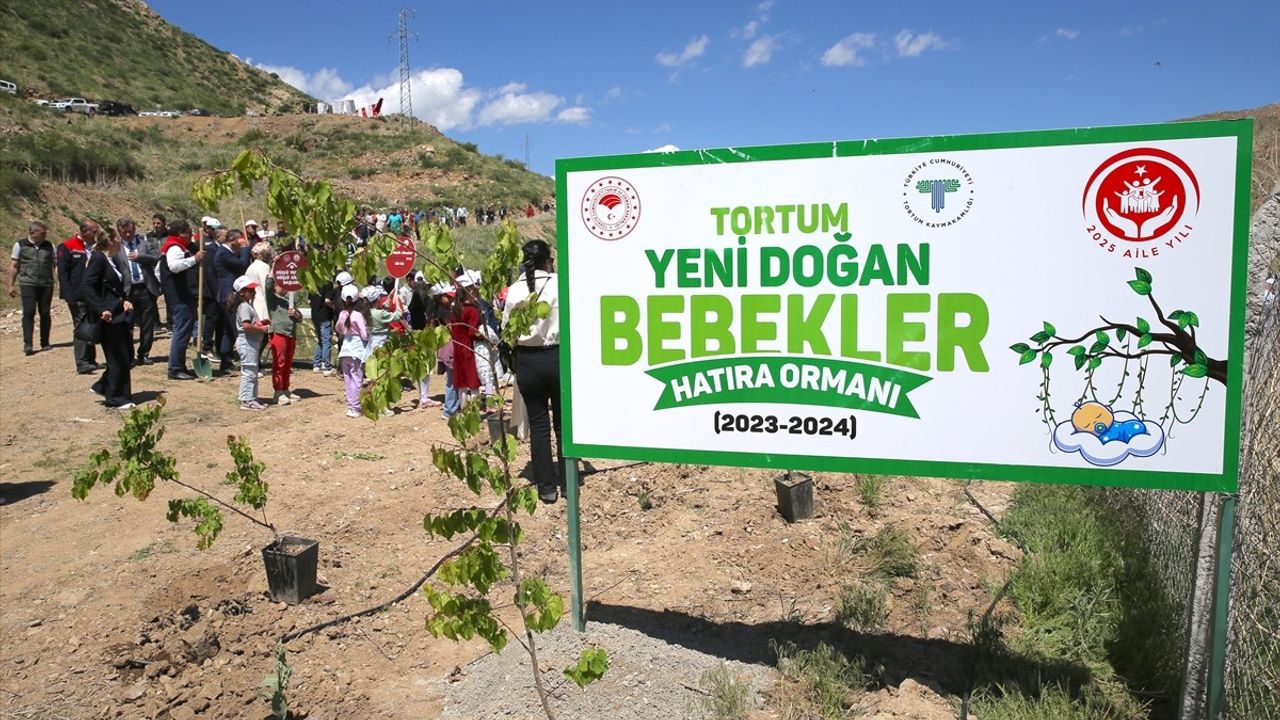 Erzurum'da Yeni Doğan Bebekler İçin Hatıra Ormanı