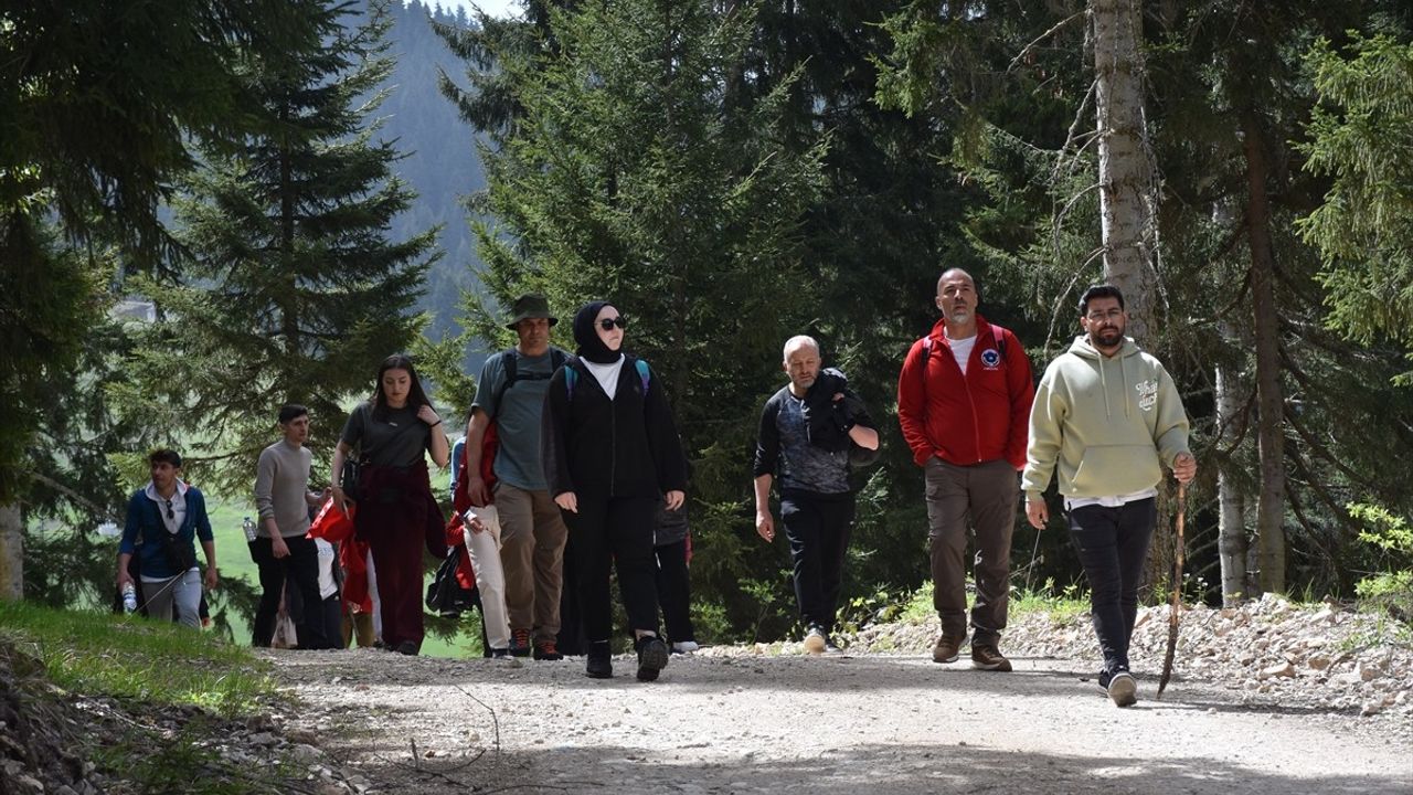 Gümüşhane'nin Yaylaları Doğaseverlerle Şenleniyor