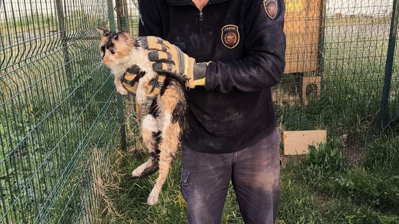 Hatay'da İtfaiye Ekipleri Bina Boşluğunda Mahsur Kalan Kediyi Kurtardı