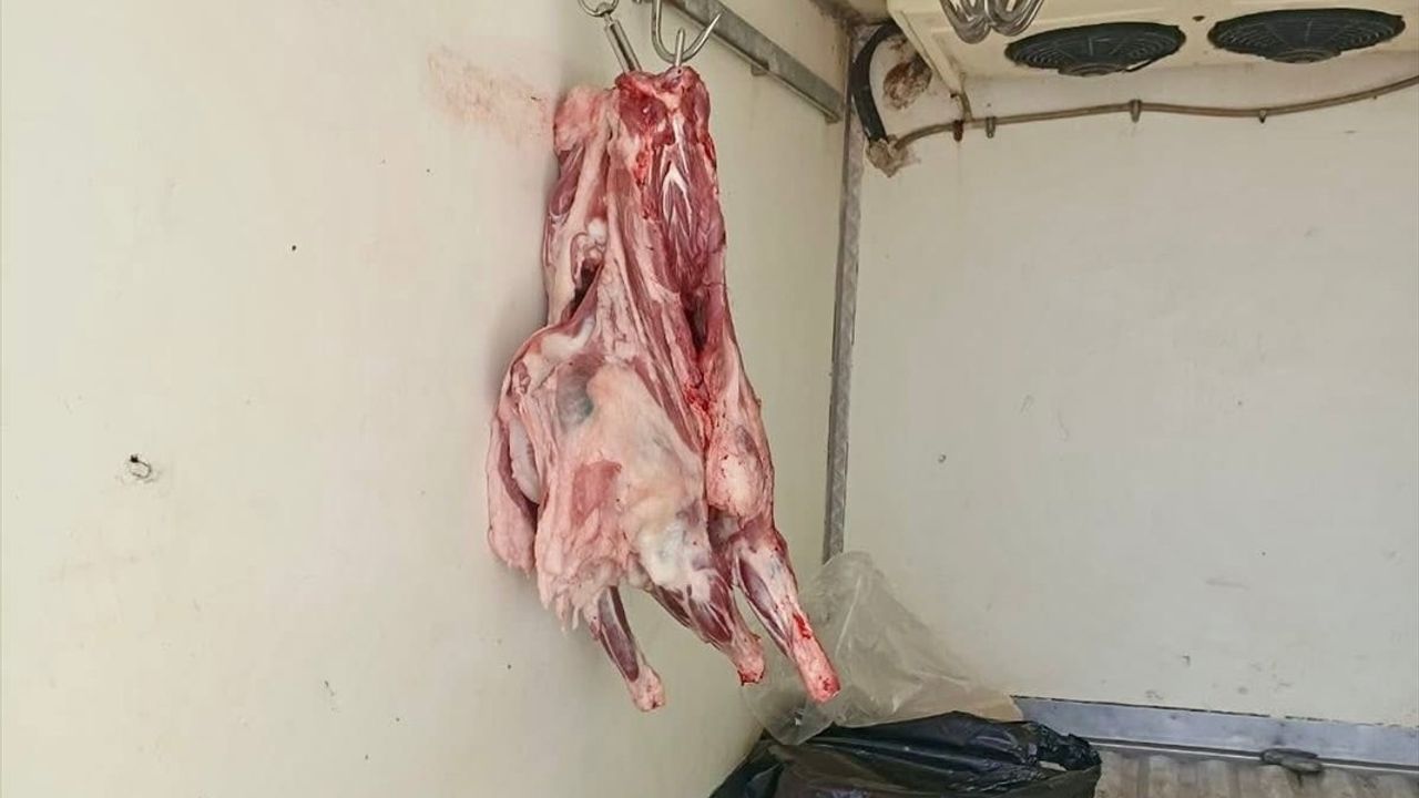 Hatay'da Kaçak Et Ele Geçirildi