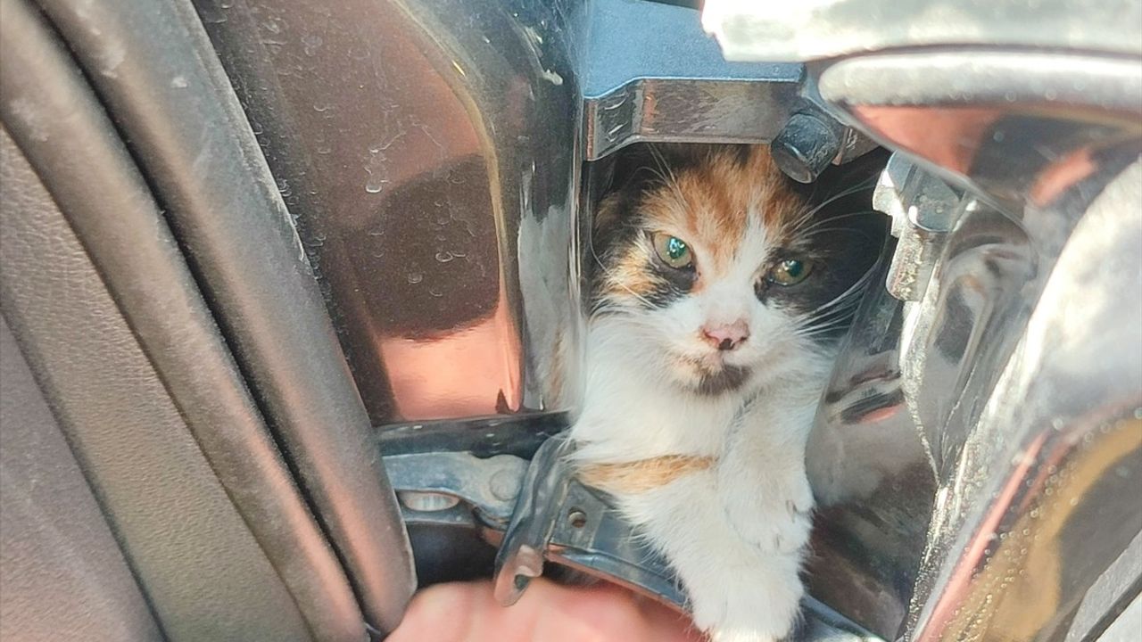 Hatay'da Kedi Yavrusu İtfaiye Ekiplerince Kurtarıldı
