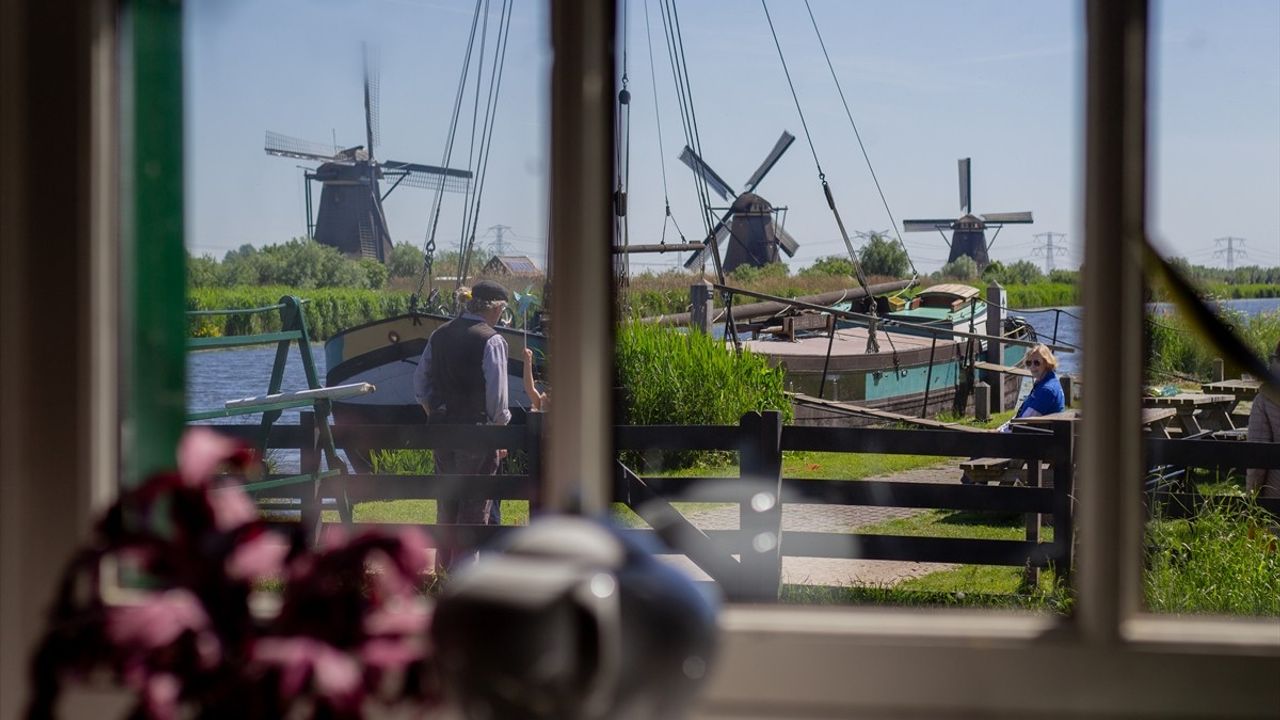 Hollanda'da Ulusal Değirmen Günü Coşkusu