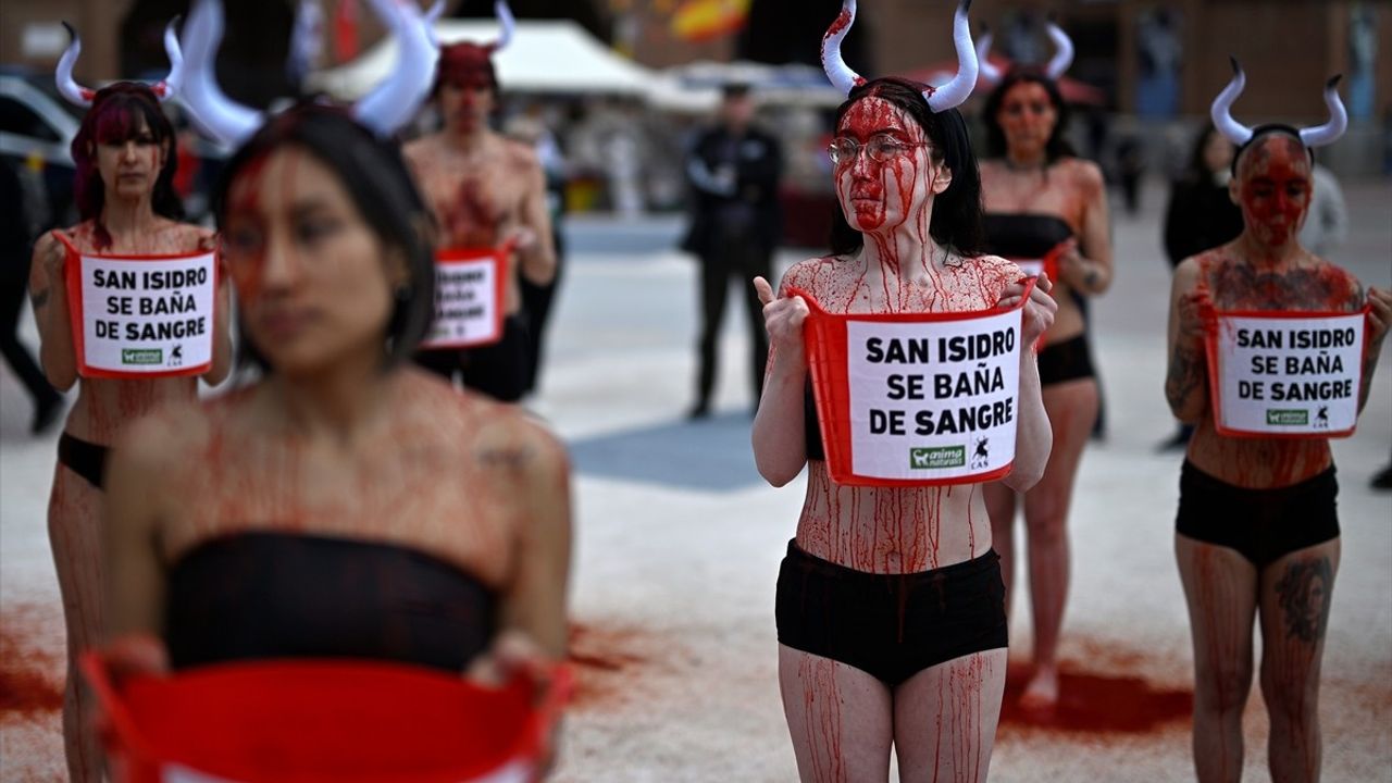 İspanya'da Boğa Güreşi Protestoları