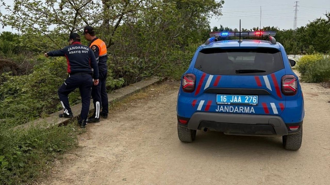 İznik Gölü'nde Kaçak Avcılığa Geçit Yok