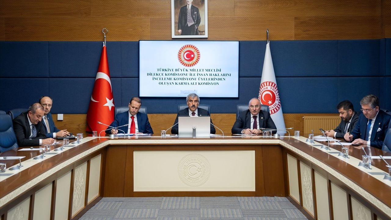 Kamu Denetçileri TBMM'de Faaliyetlerini Tanıttı