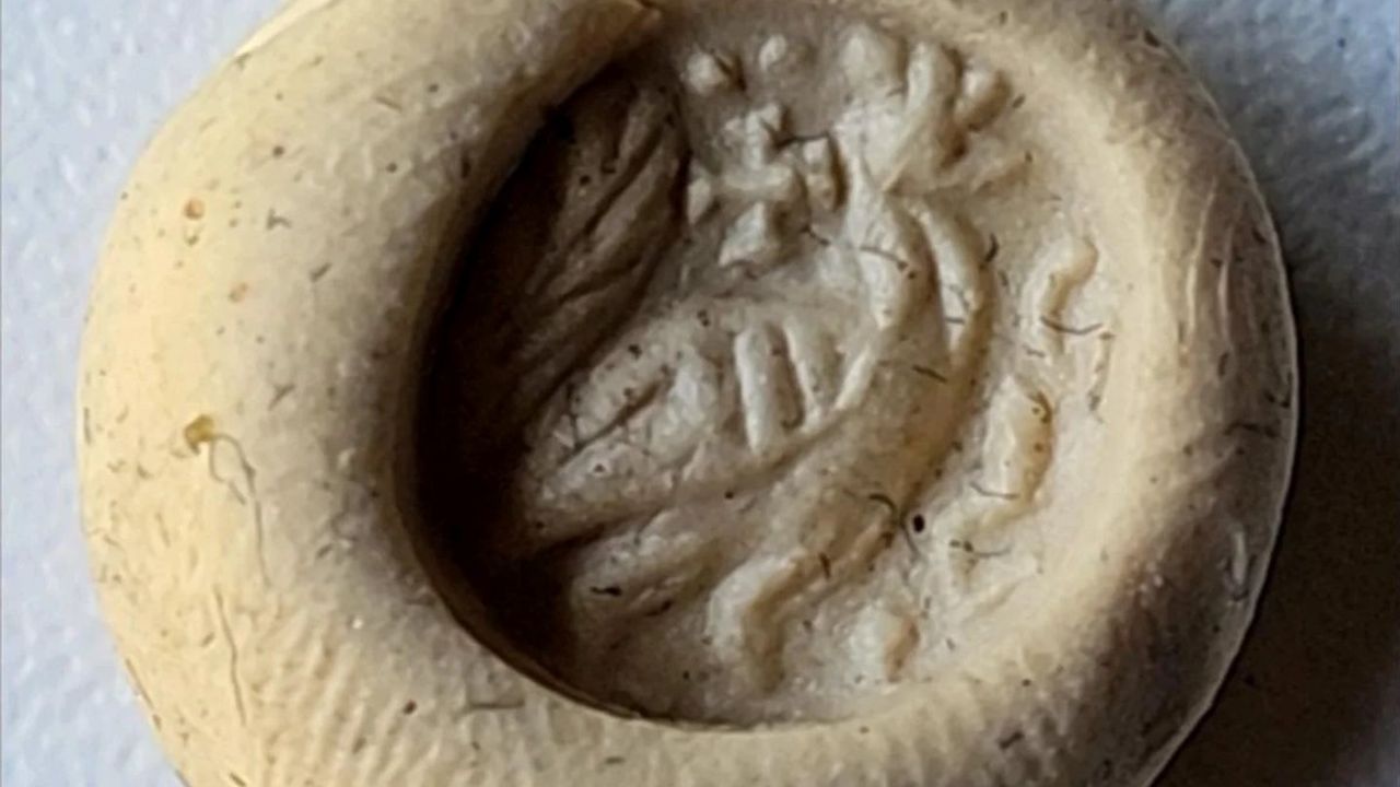 Kardeşler Buldukları Tarihi Yüzük Mührünü Troya Müzesi'ne Teslim Etti