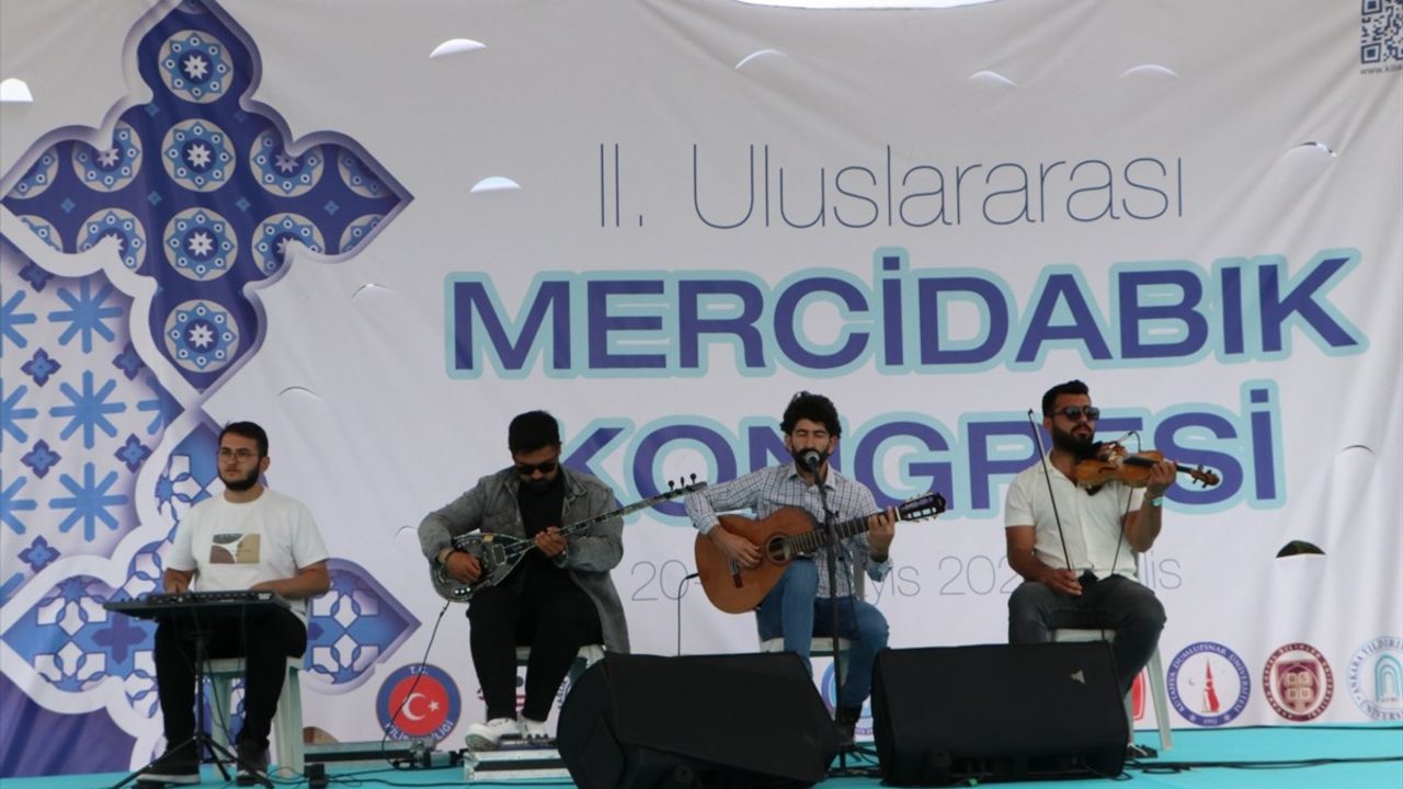 Kilis'te 2. Uluslararası Mercidabık Kongresi Başladı