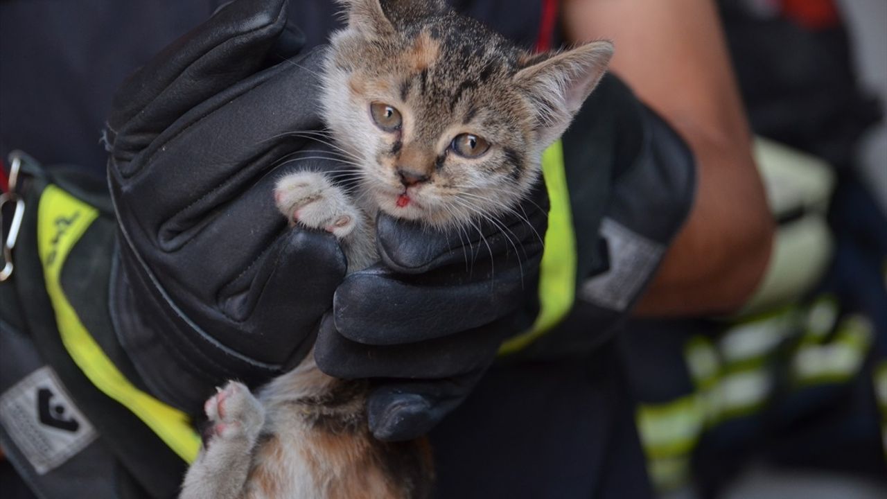 Konya'da Sıkışan Kedi Yavrusunun Kurtarılması