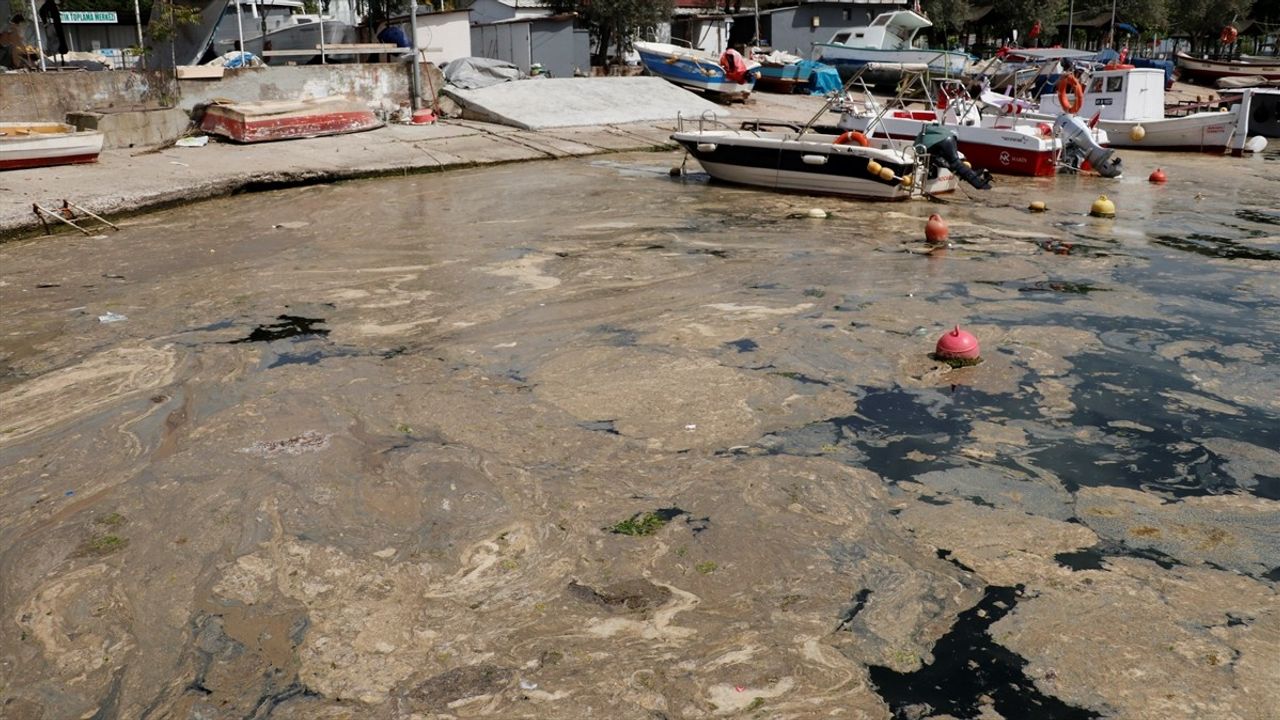 Körfez'de Köpük Temizleme Çalışmaları Başlatıldı