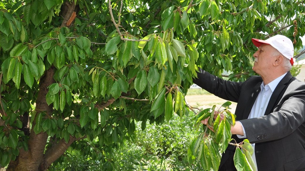 Kütahya'da Tarım Zorlukları ve Genç Nüfusun Düşüşü