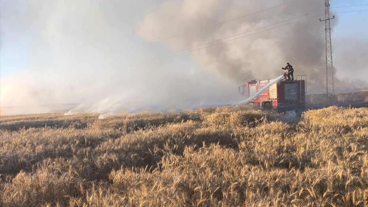 Mardin'deki Yangınlar 155 Dönüm Buğday Alanını Etkiledi