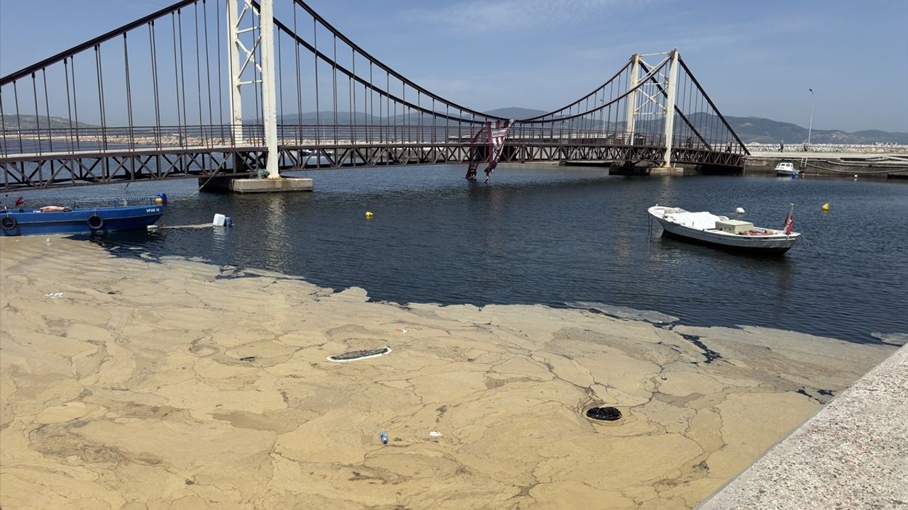 Marmara Denizi'nde Müsilaj Sorunu: Uzman Uyarıyor
