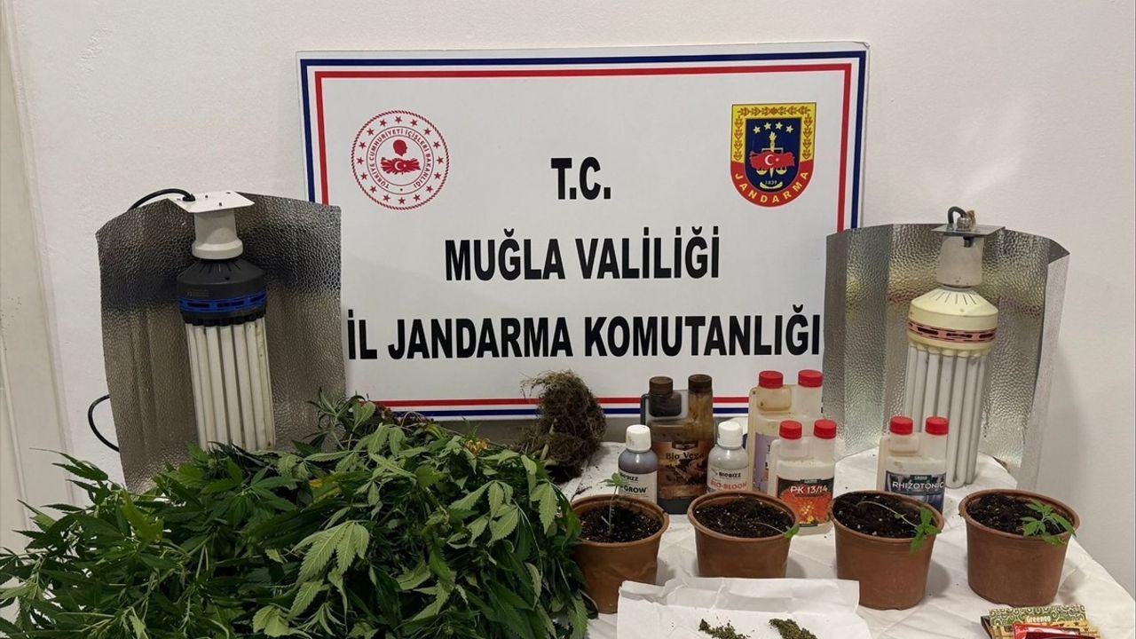 Muğla'da İki Zanlı Uyuşturucu Operasyonu ile Gözaltına Alındı