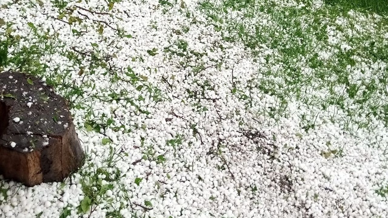 Posof'ta Dolu ve Sağanak Yağışı
