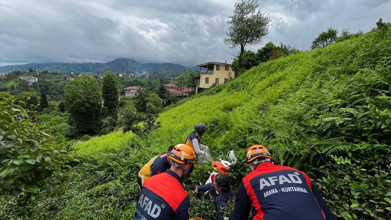 Rize'de Çay Bahçesinde Düşme Kazası