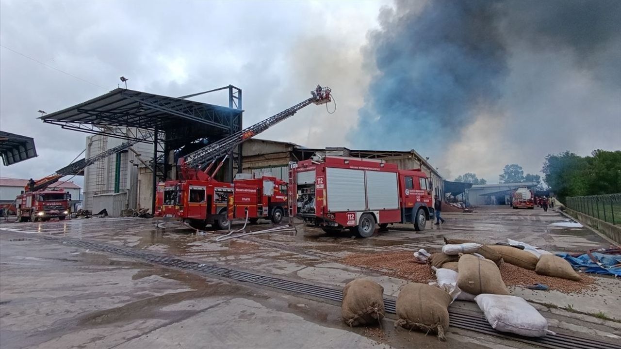 Sakarya'daki Fındık Kırım Fabrikasında Yangın Çıktı
