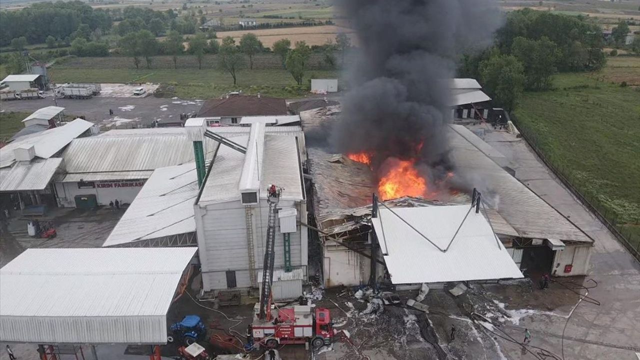 Sakarya'daki Fındık Kırım Fabrikasında Yangın Kontrol Altına Alındı