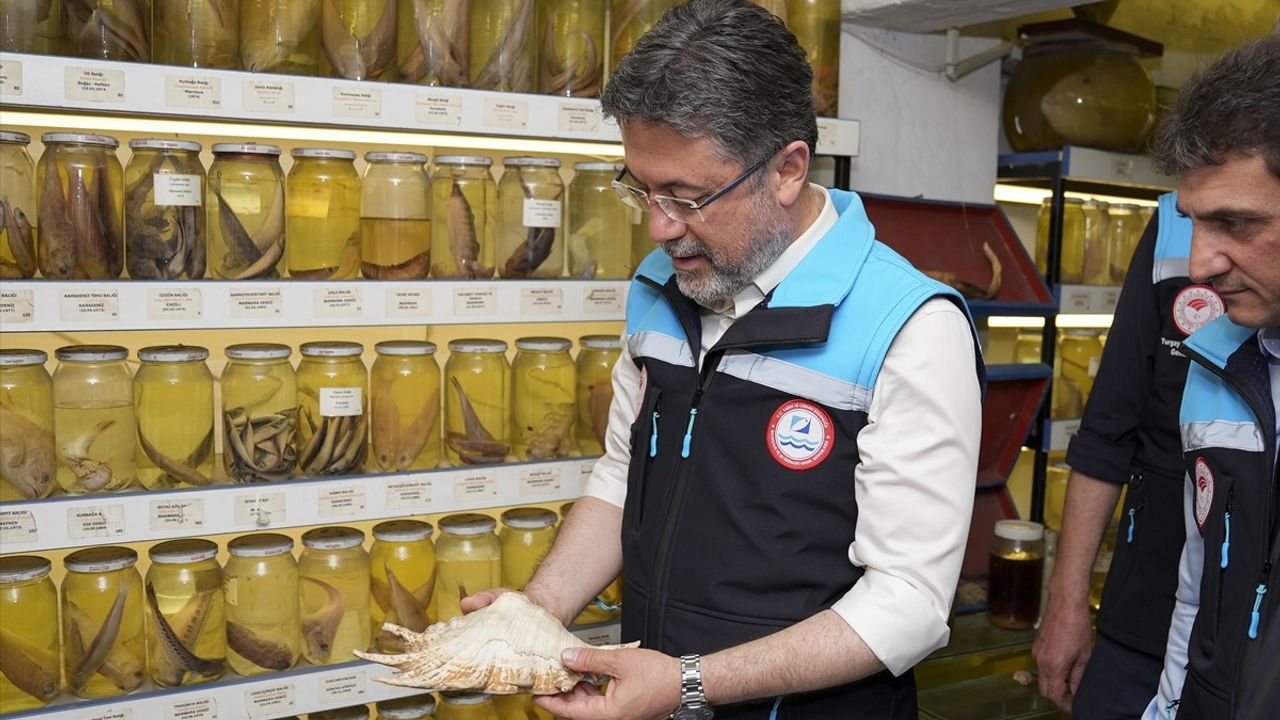 Tarım ve Orman Bakanı Yumaklı, Balıkçı Barınağında Destek Müjdeleri Verdi