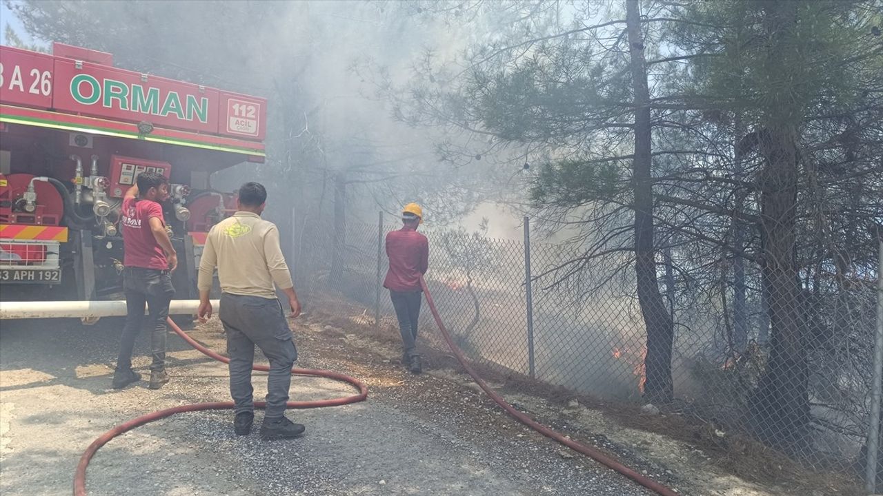 Tarsus'taki Orman Yangını Kontrol Altına Alındı