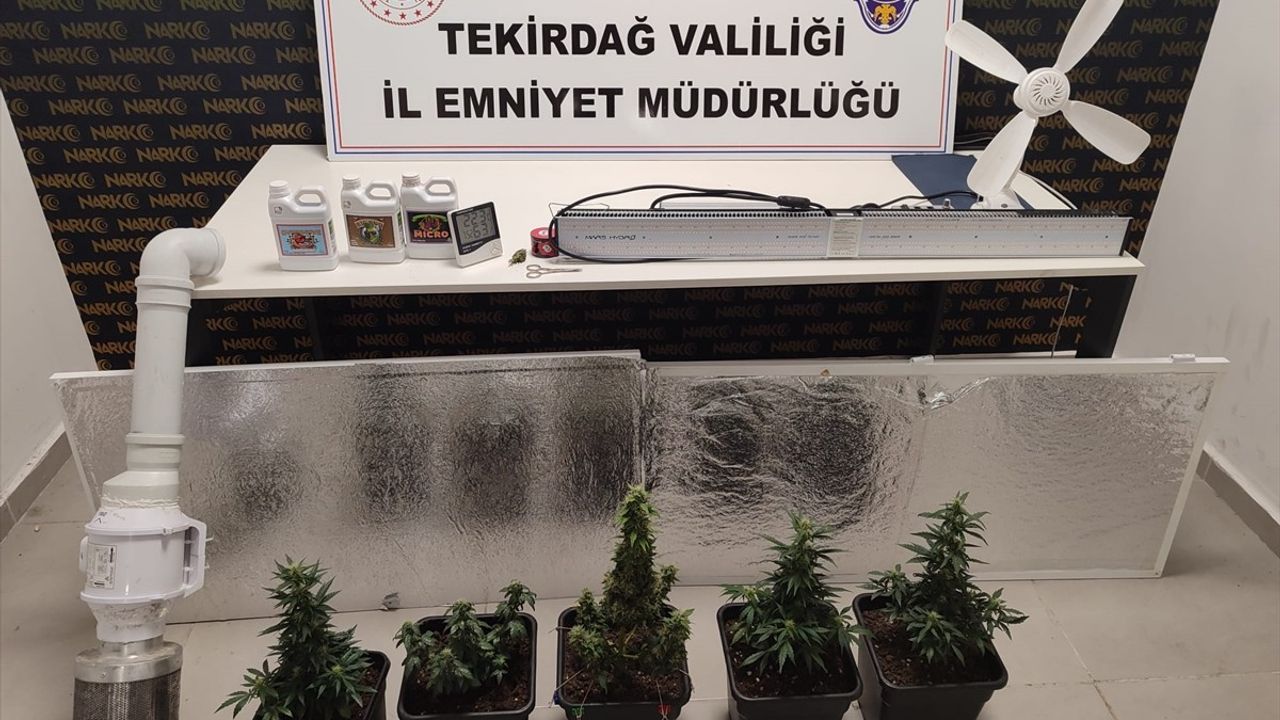 Tekirdağ'da Uyuşturucu Üretimi Engellendi